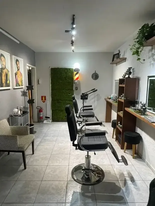 Cadeiras clássicas da Brotta